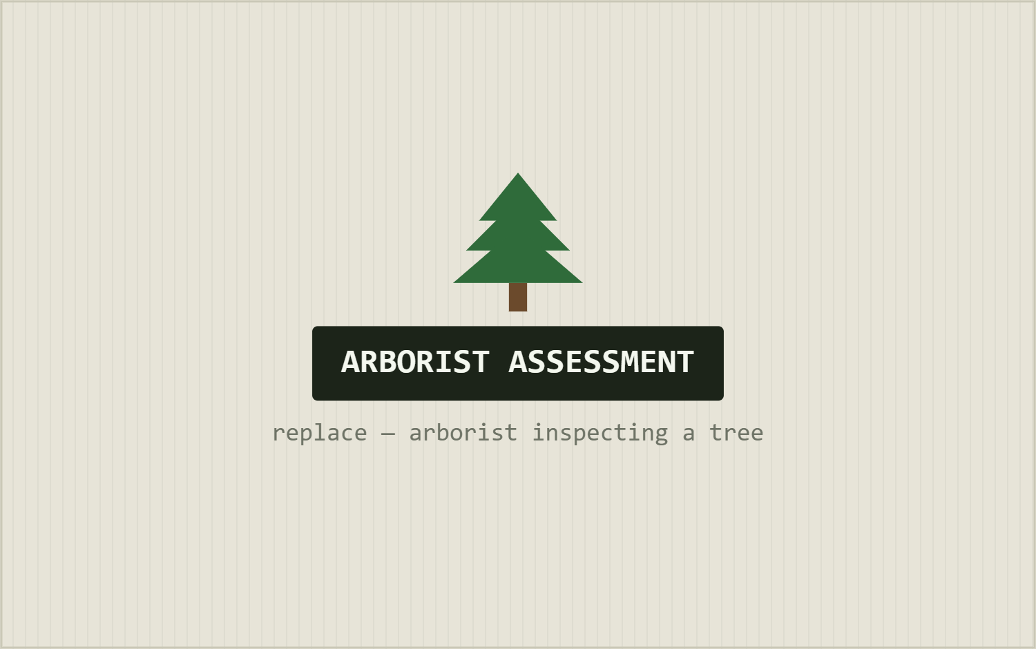 Arborist / Tree Health Assessment in Longview, TX