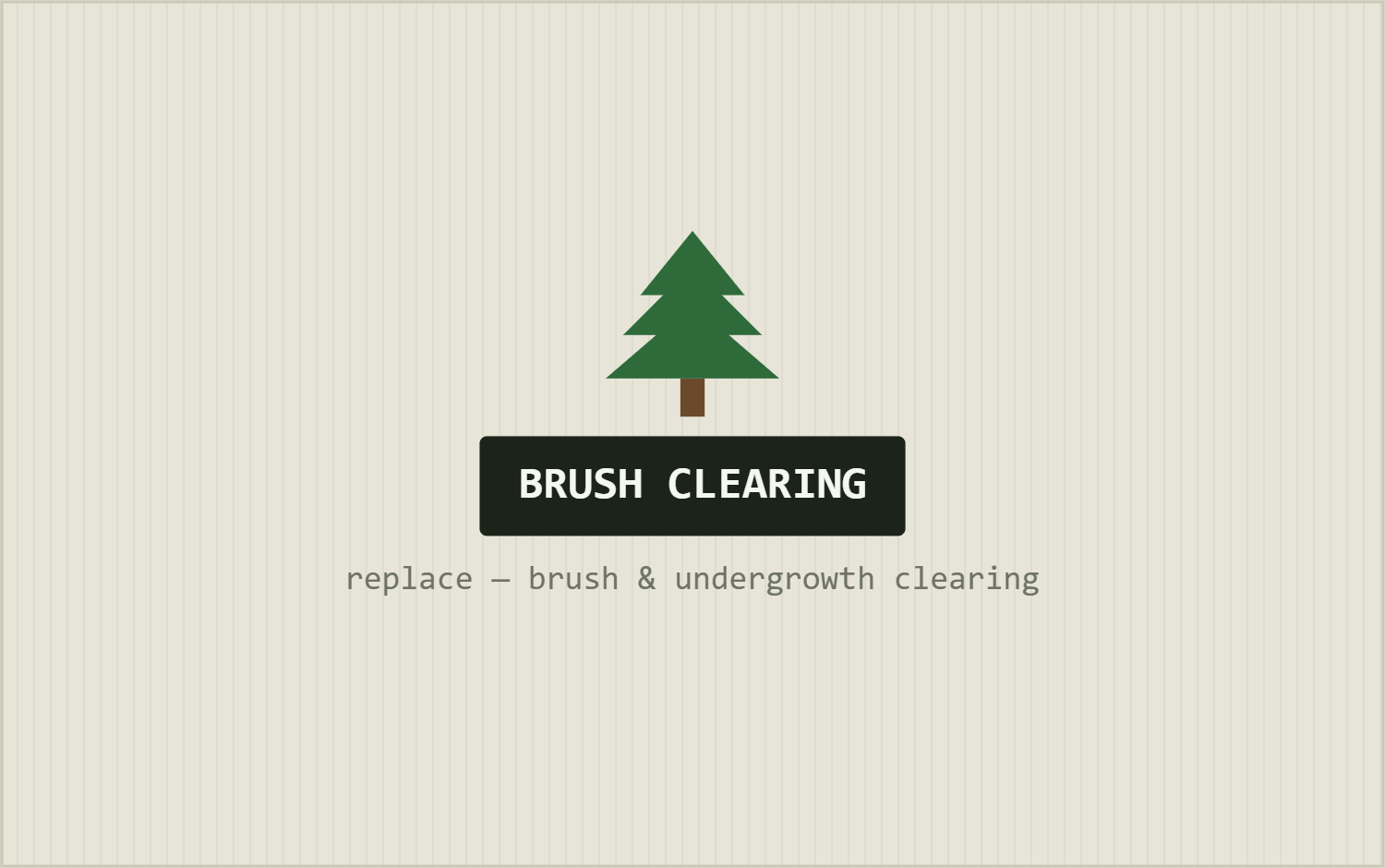 Brush Clearing & Removal in Longview, TX