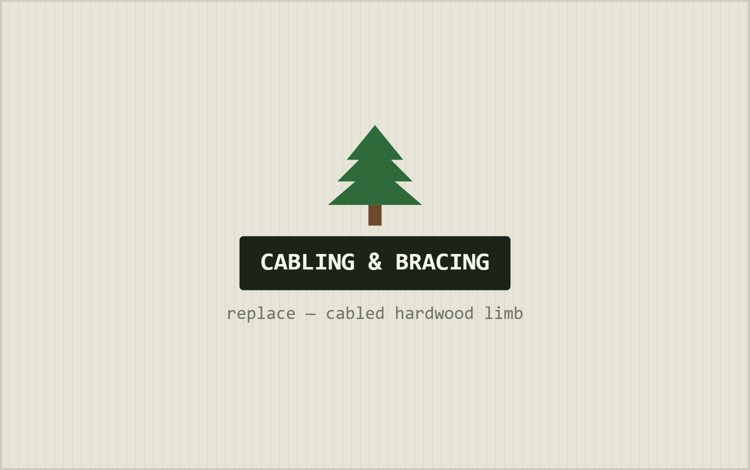 Tree Cabling & Bracing in Longview, TX